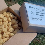 Box of 200 Ecofire Wax Wool Firelighters Box of 200 Ecofire Wax Wool Firelighters